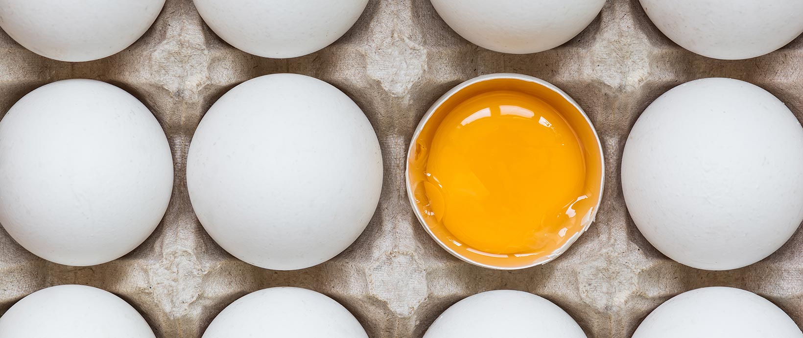 数字揭穿：谦虚的鸡蛋可以支持一个人的重量吗？